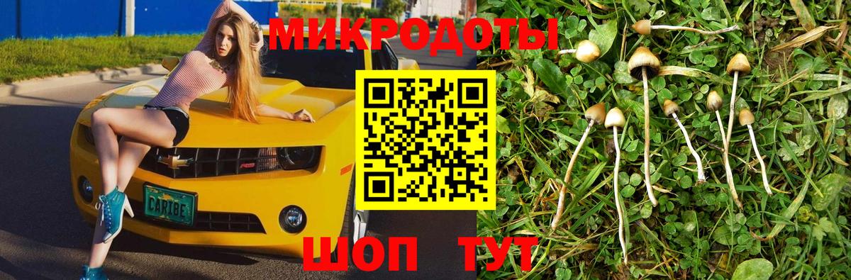 Псилоцибиновые грибы Magic Shrooms  Вход с VPN  Люберцы 